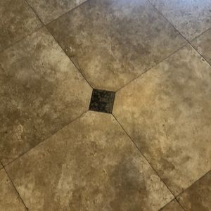 Meet your Posher, Tara